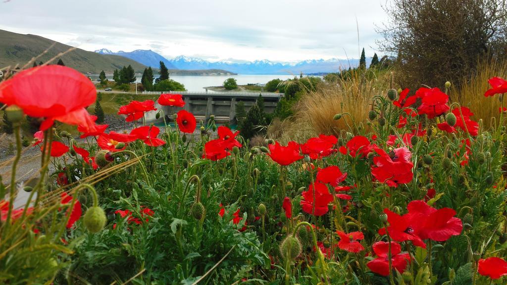 Marie Therese Apartment B&B Lake Tekapo Eksteriør bilde